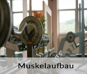 Muskelaufbau